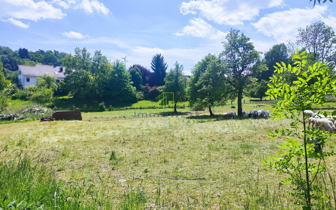 Grundstück in Balzheim – Idyllisch. Genehmigt. Bereit für Ihre Wohnvision.